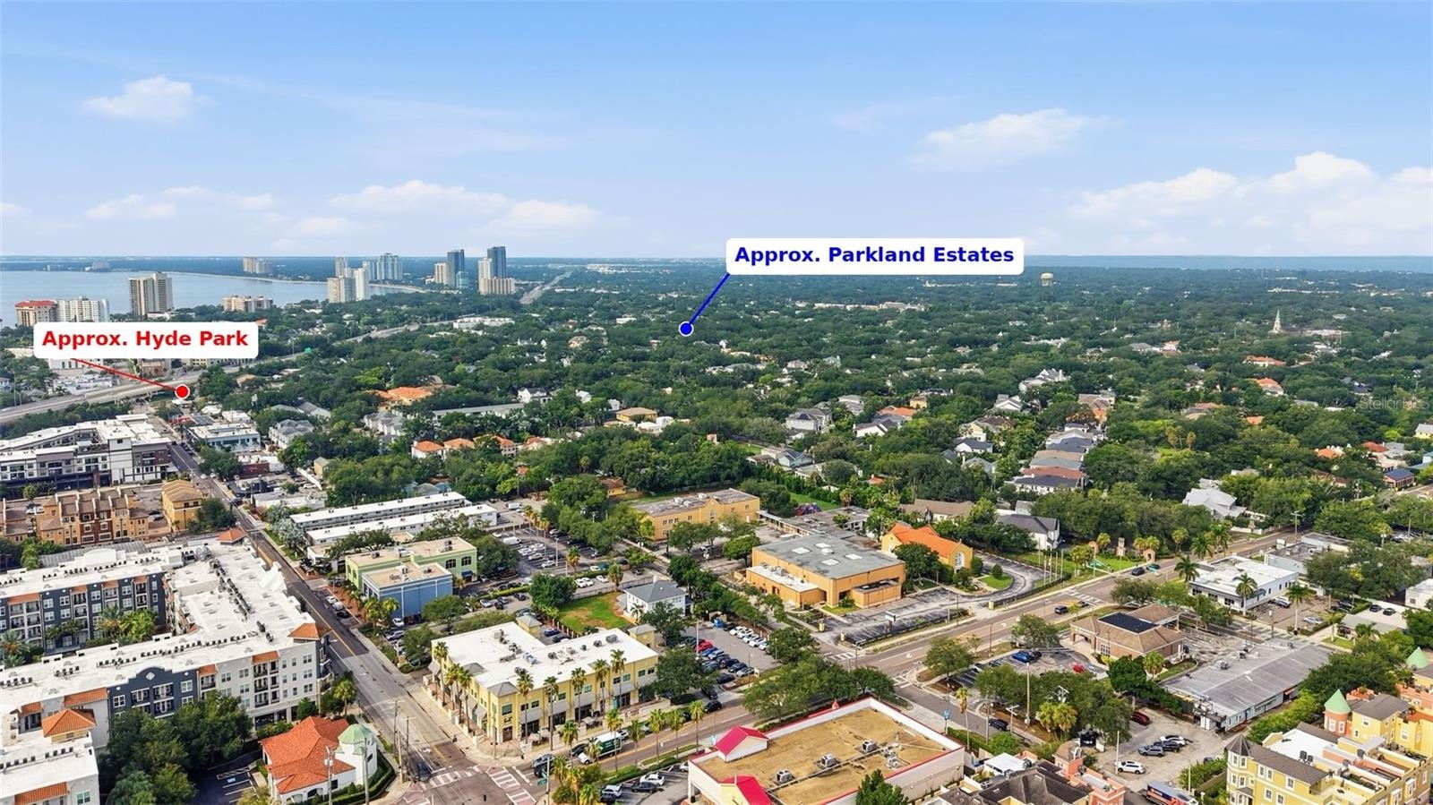 Bayshore Blvd in the Background