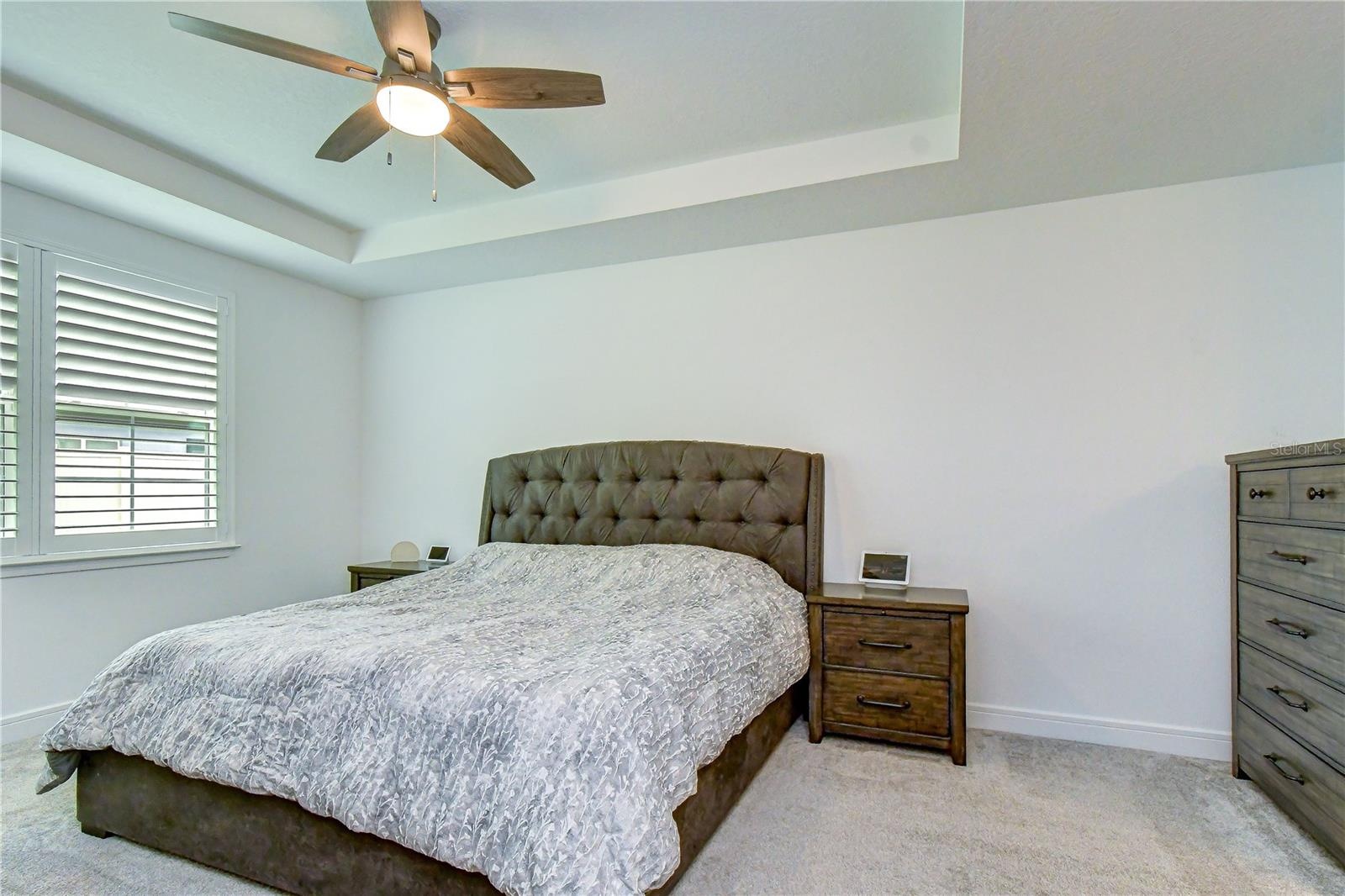 Spacious first-floor owner's retreat with tray ceiling.