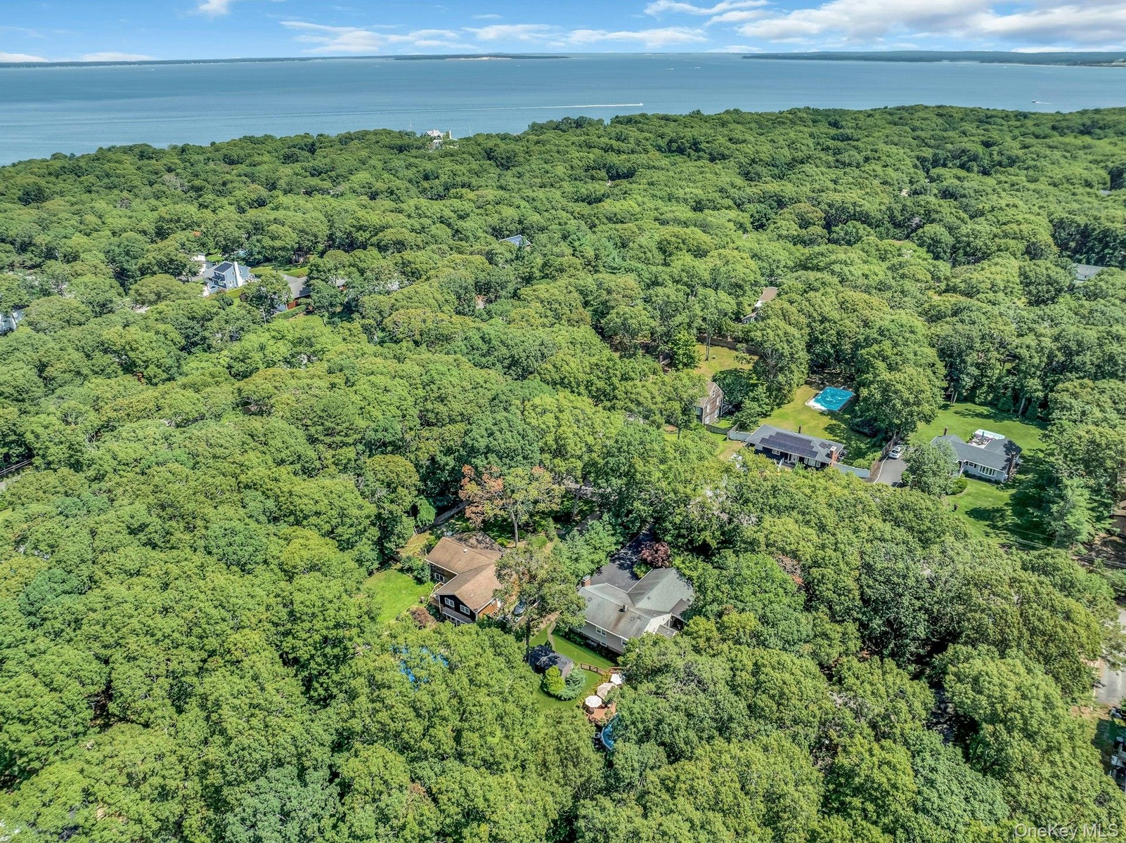 Wooded estate nestled on lush, mature grounds with expansive tree canopy