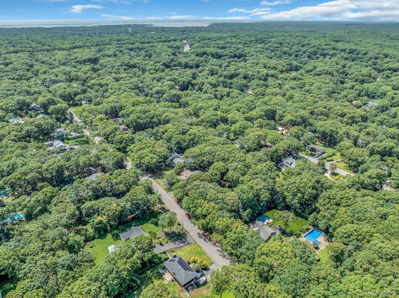 Sprawling wooded estate featuring multiple residences nestled among mature trees, private driveways, and expansive grounds