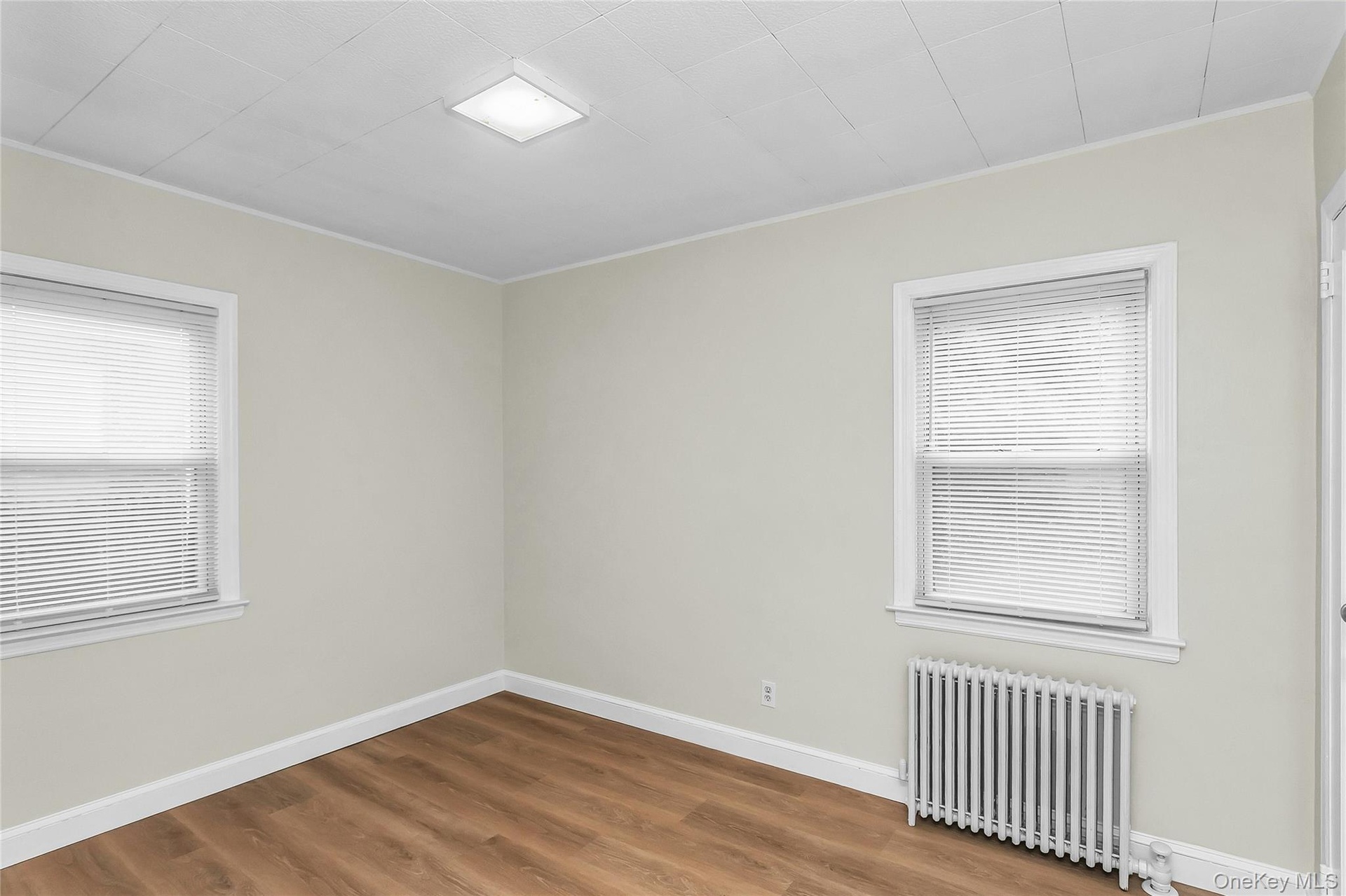 Bright interior space featuring two windows with horizontal blinds, wood-finish flooring, and a flush-mount ceiling light