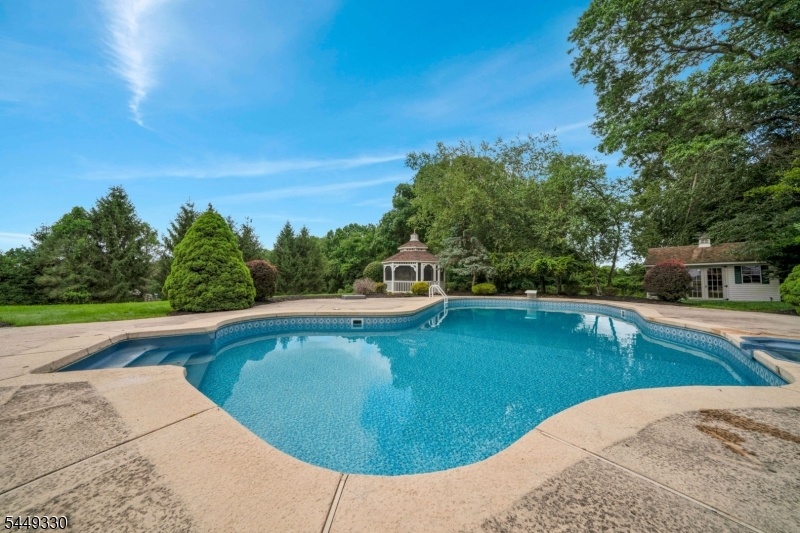 Backyard Oasis