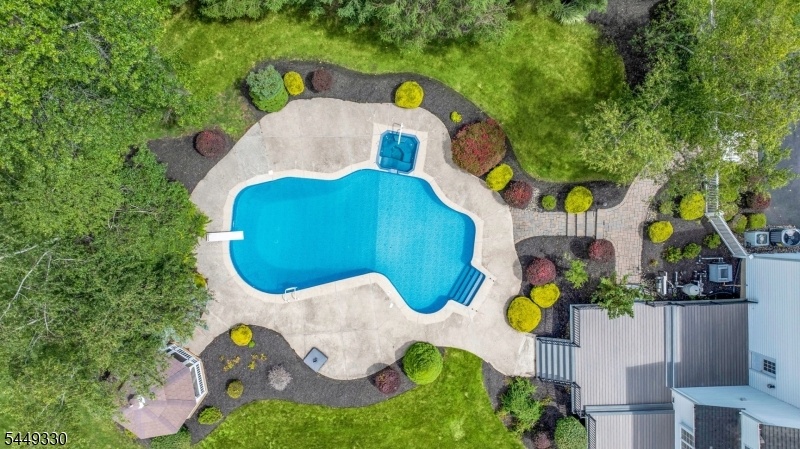 Top Down Backyard