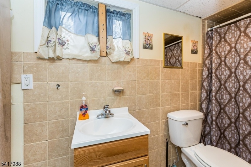 Basement Bathroom
