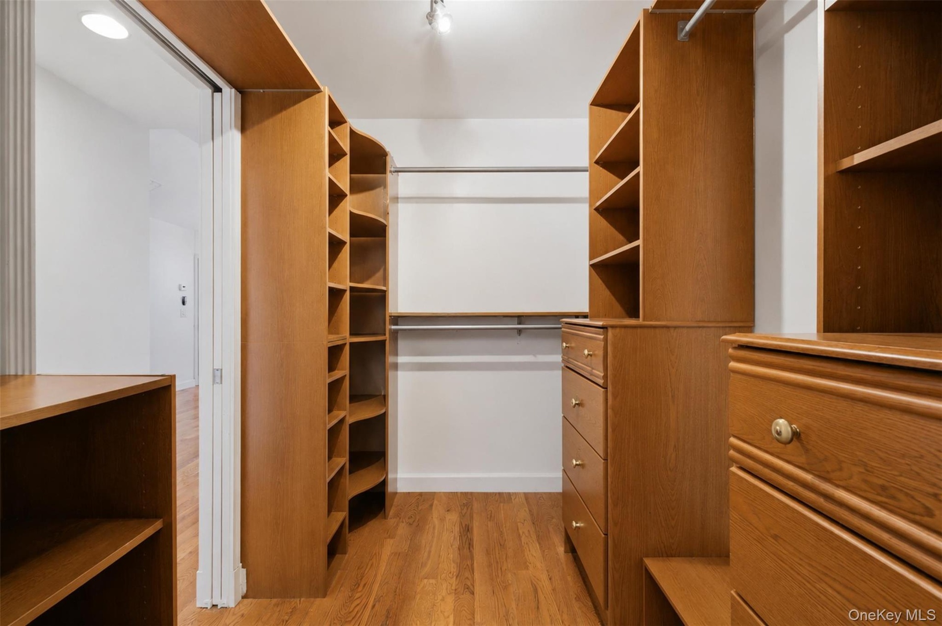 Walk-in closet featuring wood-finish flooring, recessed lighting, track lighting, and built-in shelving units