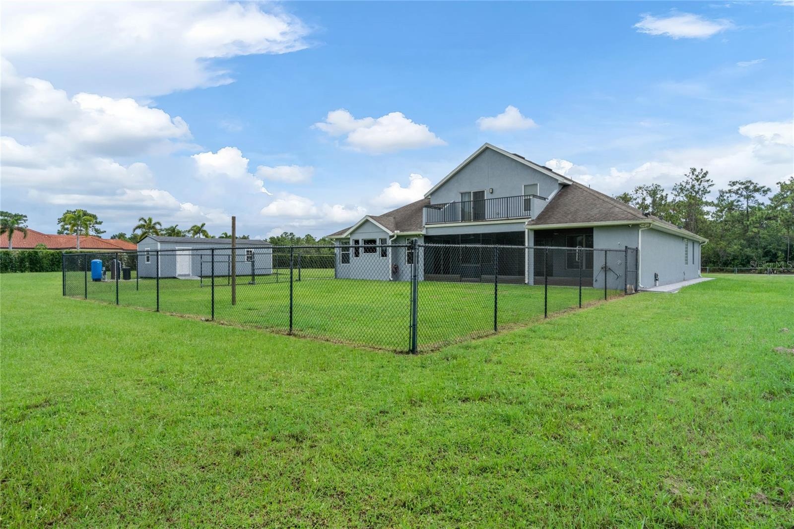 Backyard