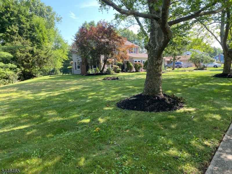 Front Yard