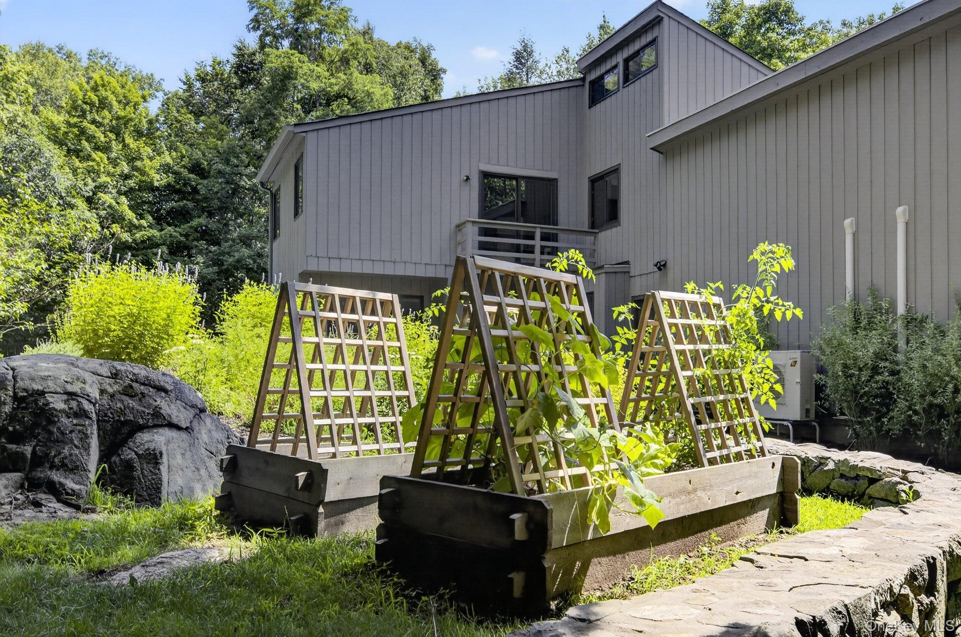 Vegetable Garden