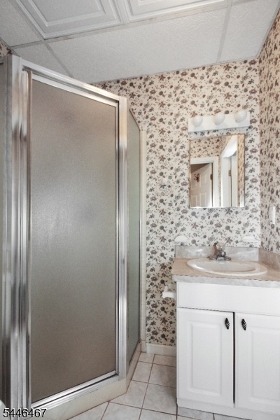 Basement Bathroom