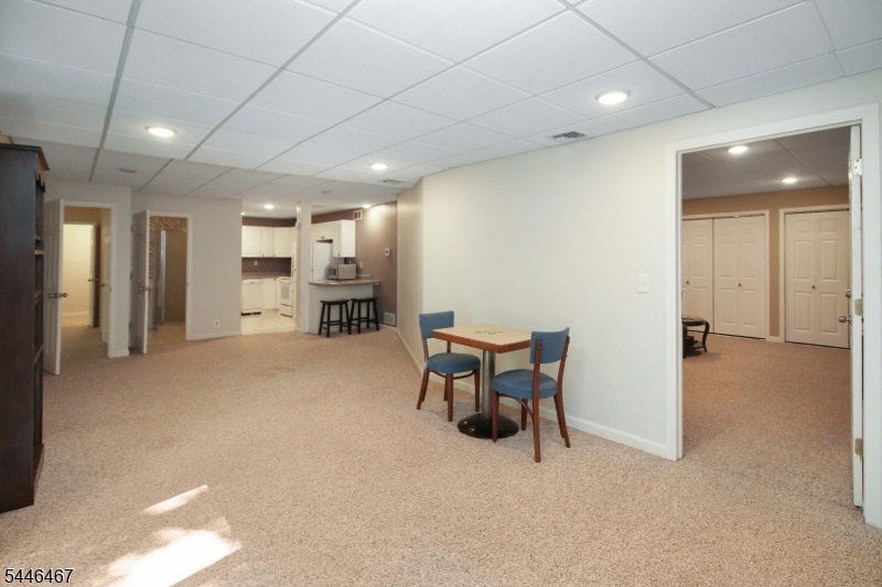 Basement Living Room