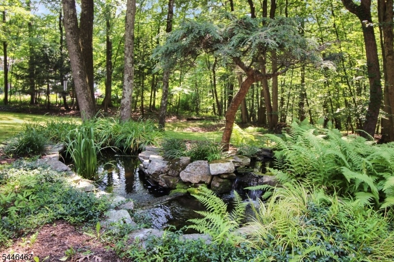 Koi Pond