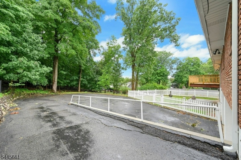 DRIVEWAY/BACKYARD