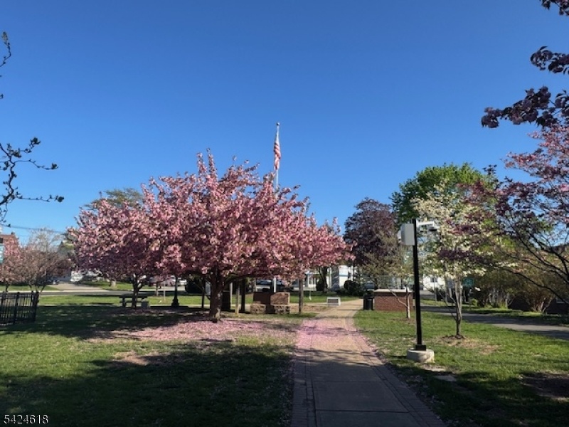 Wilmore Park
