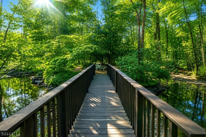 Serene Bridge