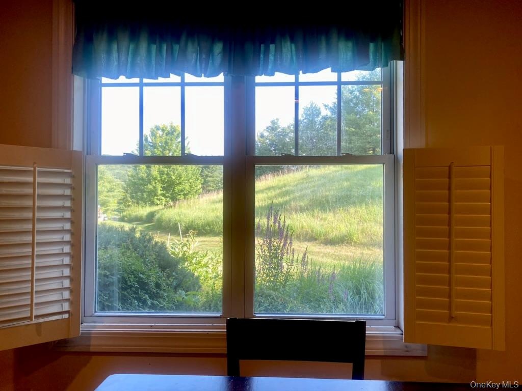looking out of kitchen window