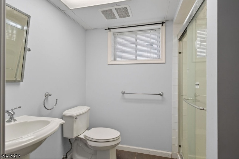 Lower level bathroom