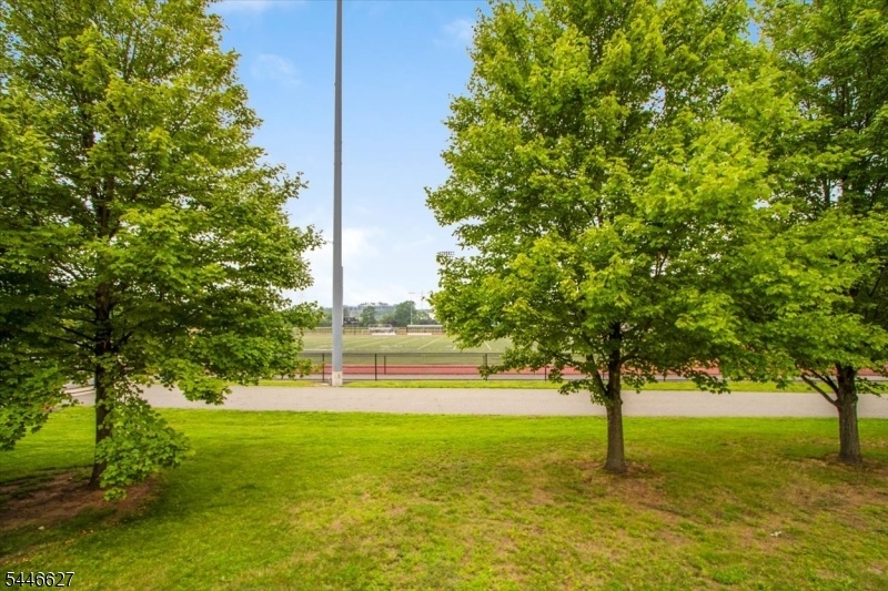 County park
