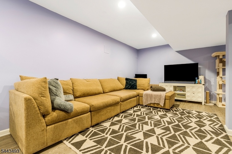 Lower level rec room