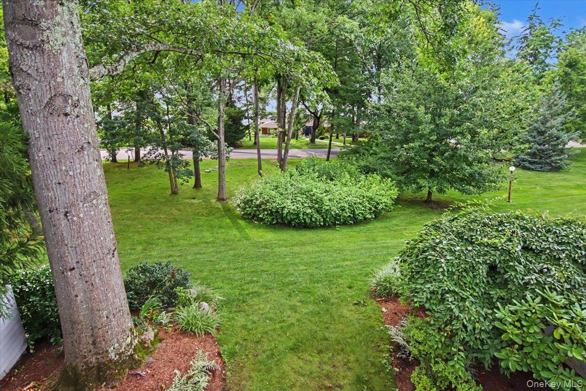 Natural setting all around. This is the back of property.