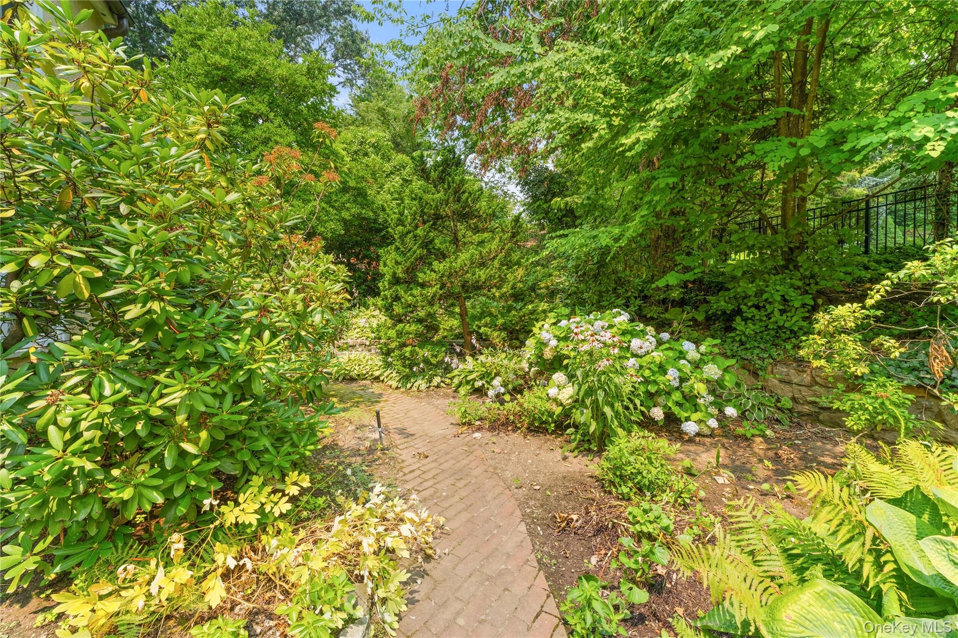 Garden path.