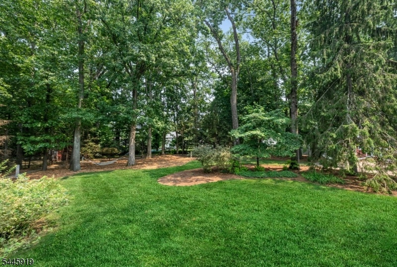 Nearly an Acre of Private Land
