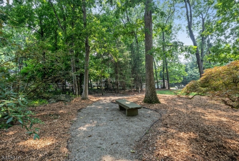 Peaceful Garden Area