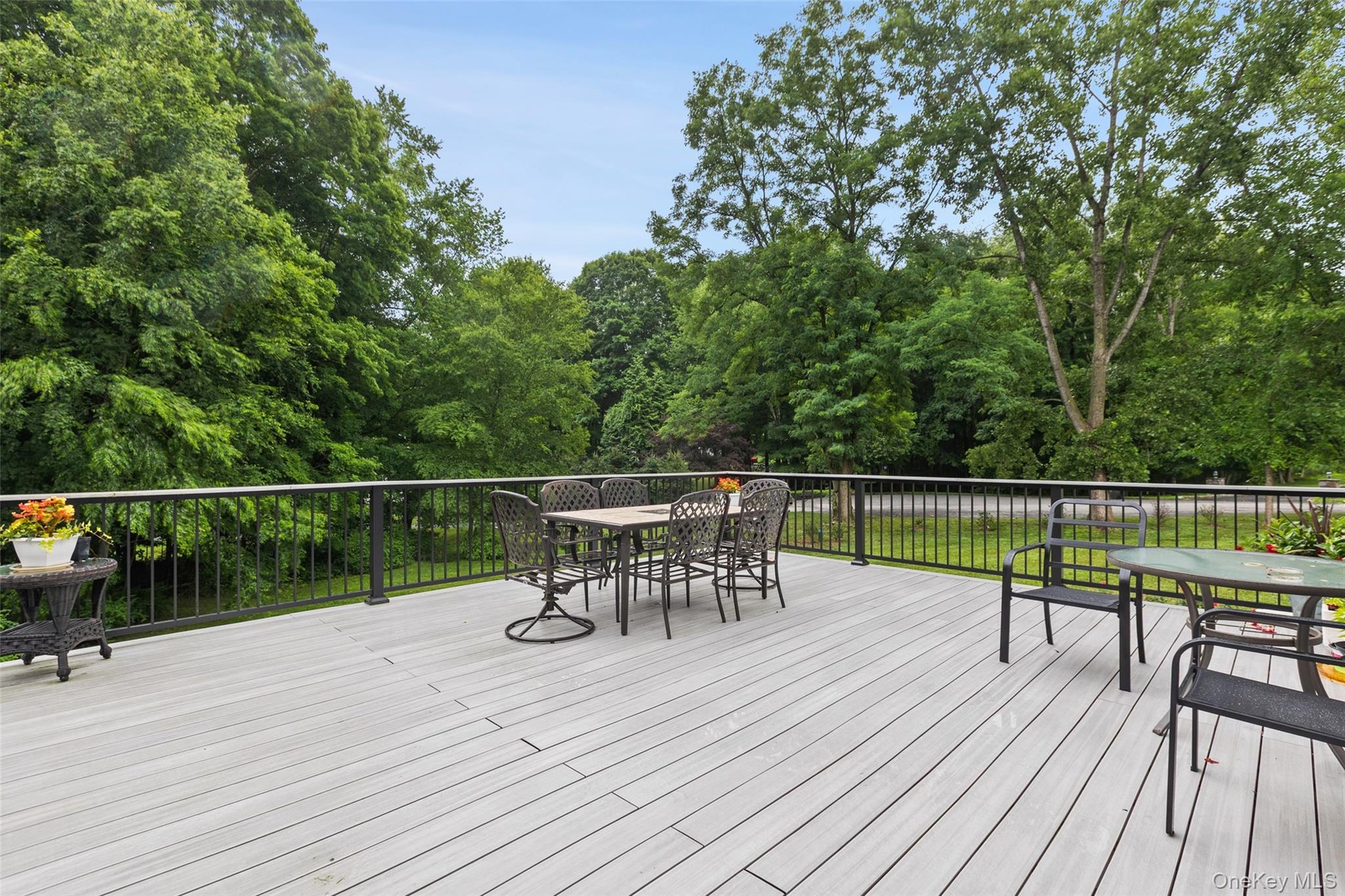 Trex deck