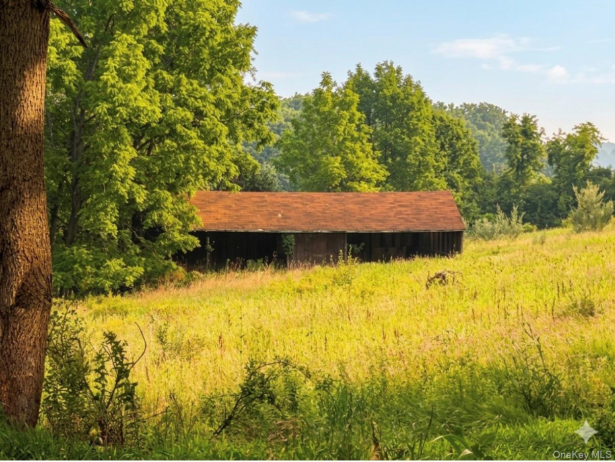 Horses Running Shed