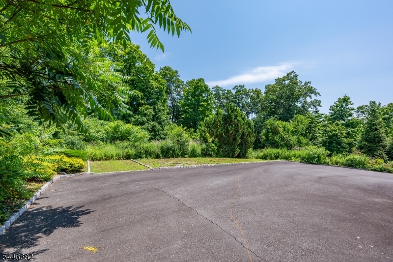 Back Parking Area