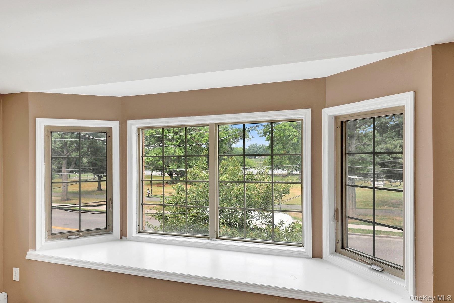 Bay window view from the Living Room of Baisley Pond