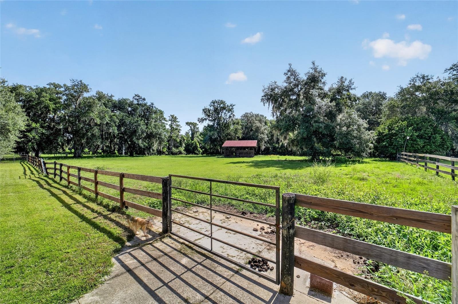Fenced Paddock with Run-In Shelter