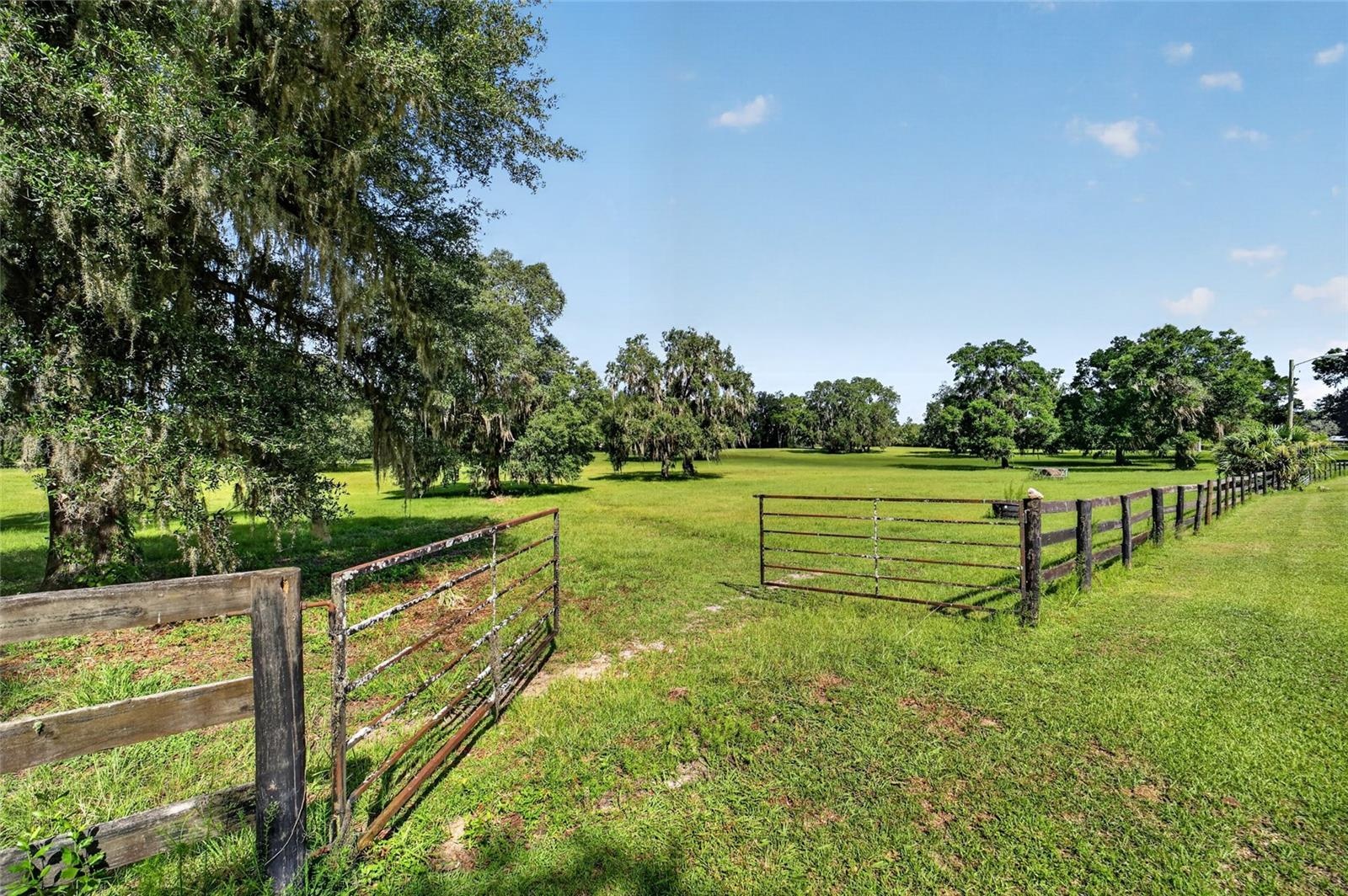 Fenced Paddocks with Water Available