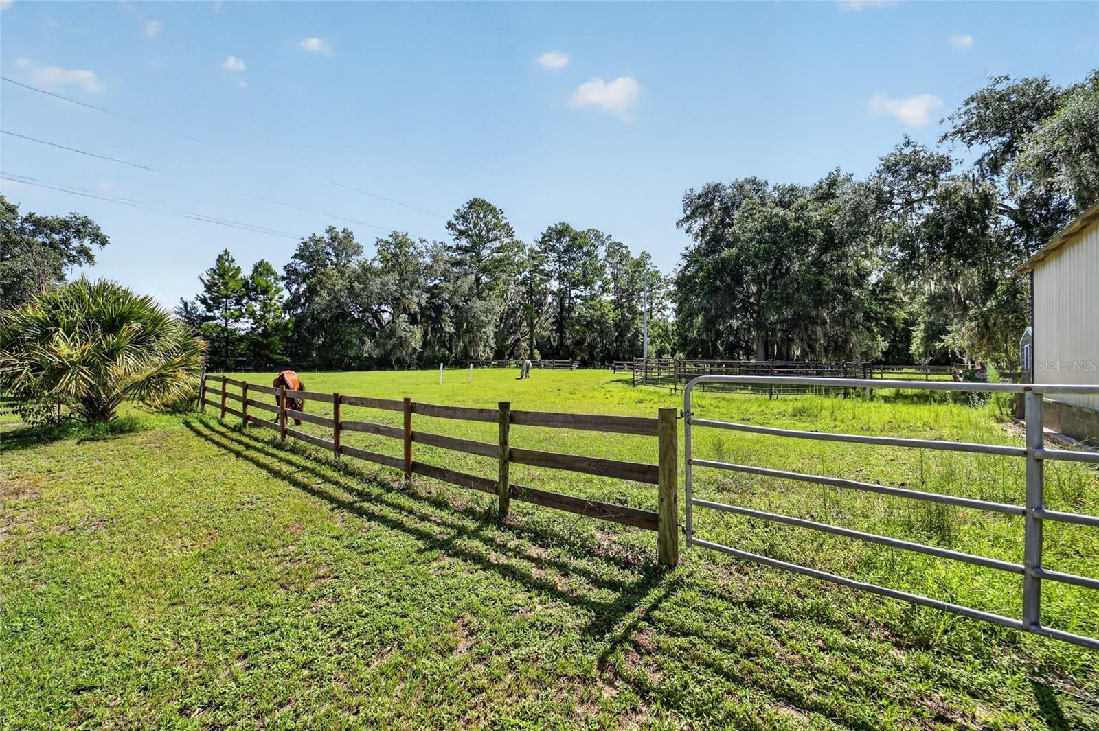 Fenced Paddocks with Water Available