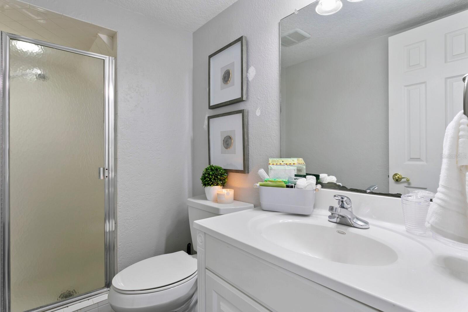 Downstairs Full Bathroom
