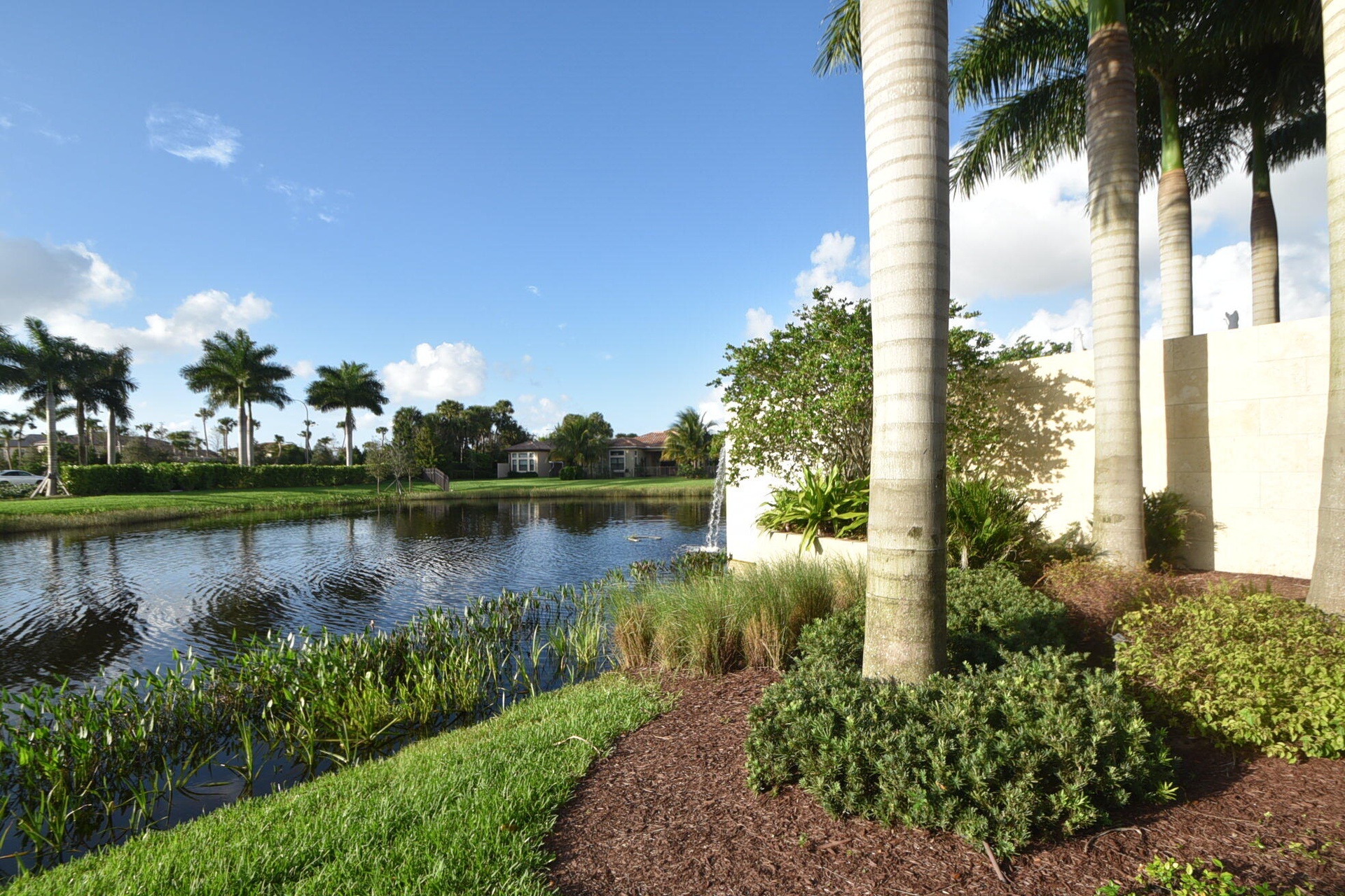 Water feature with a decorative waterfall, surrounded by mature palm trees and lush landscaping