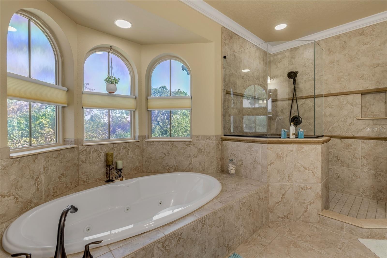 Separate Tub/Shower