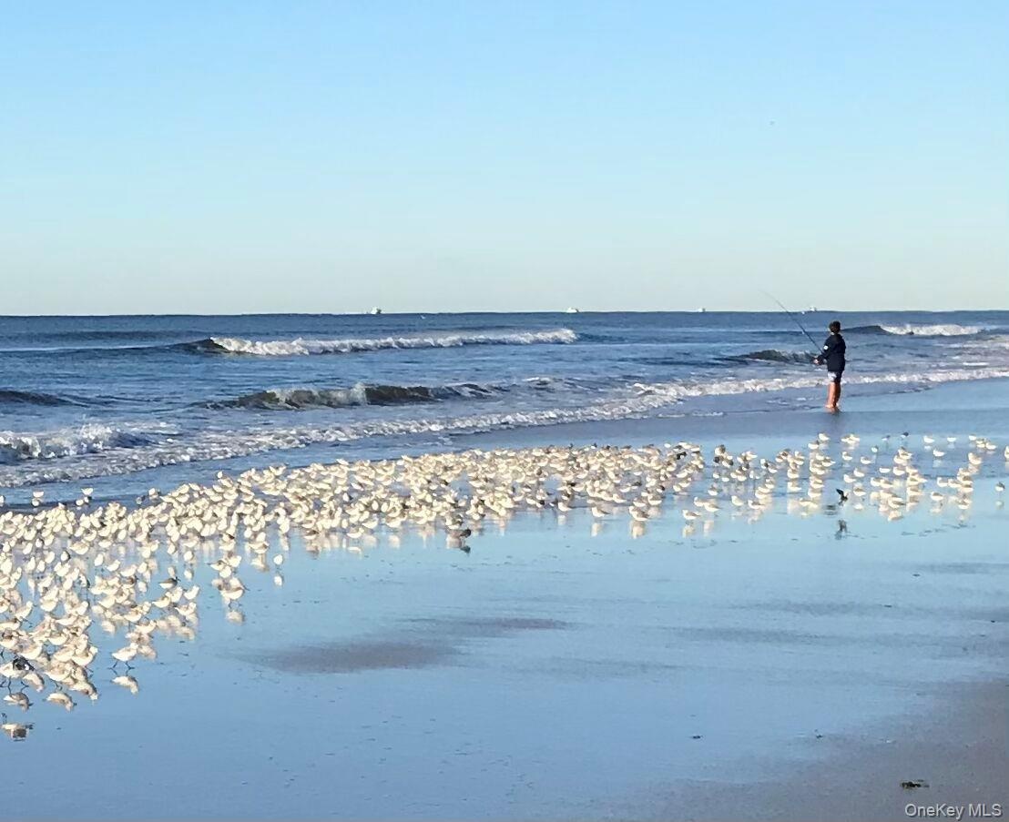 Fall Migration