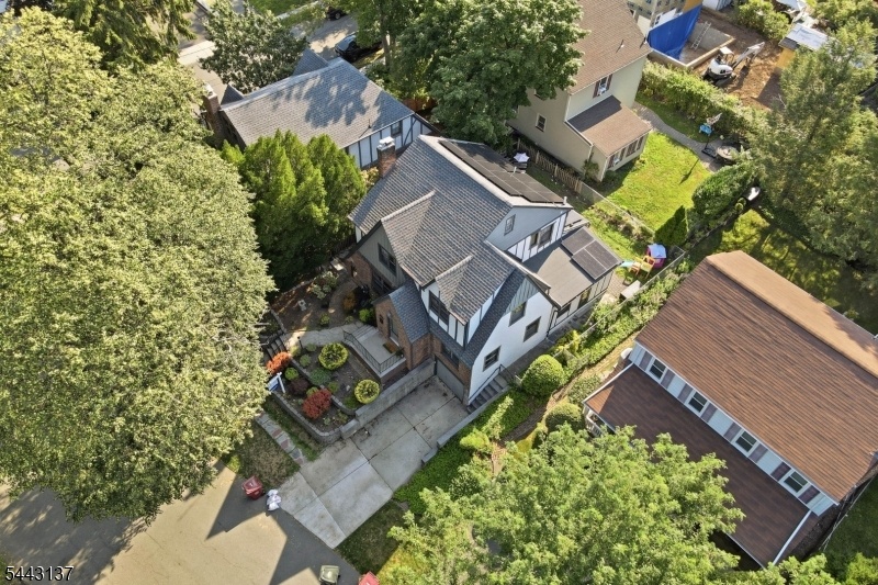 AERIAL