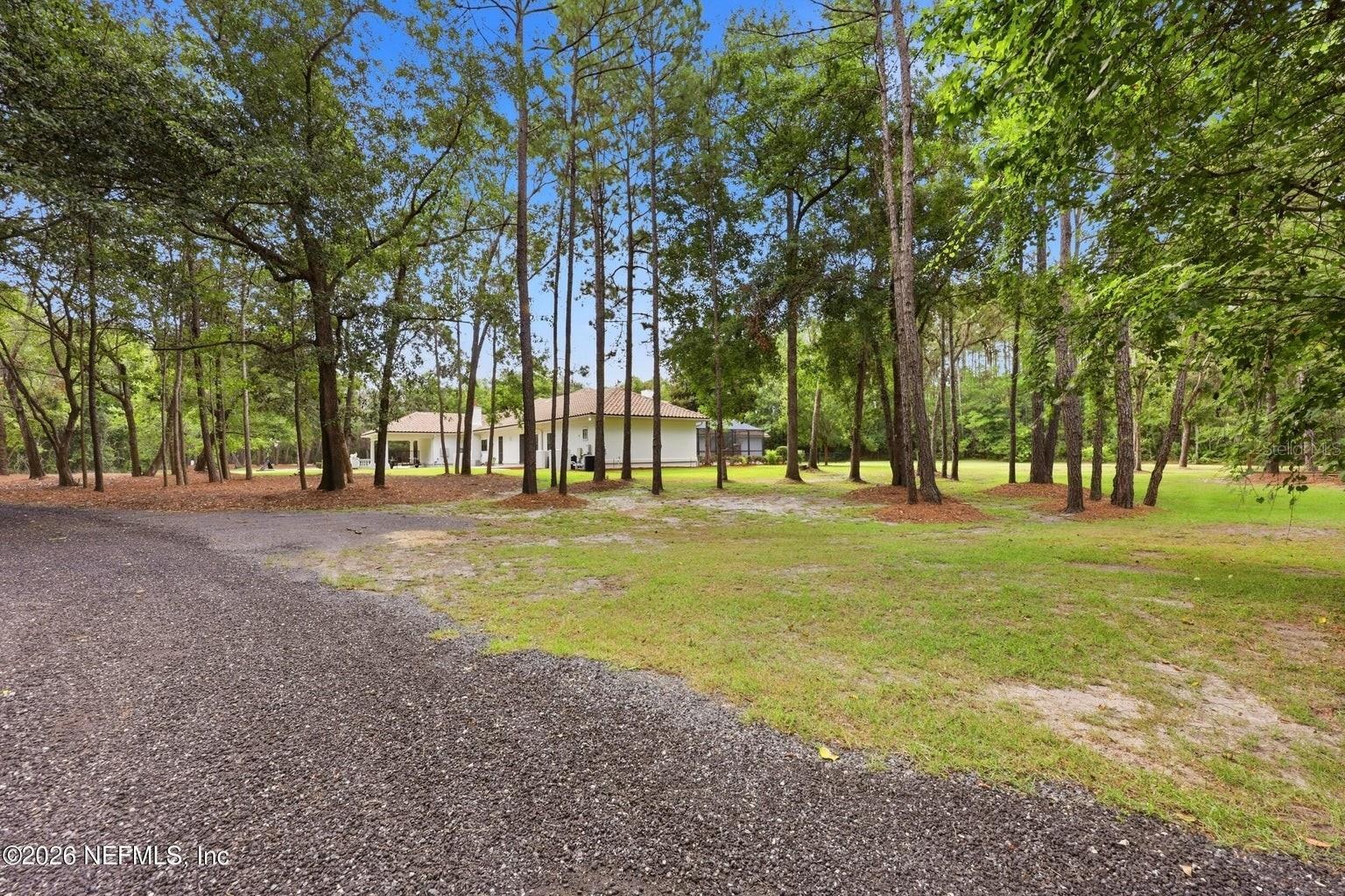 Trees