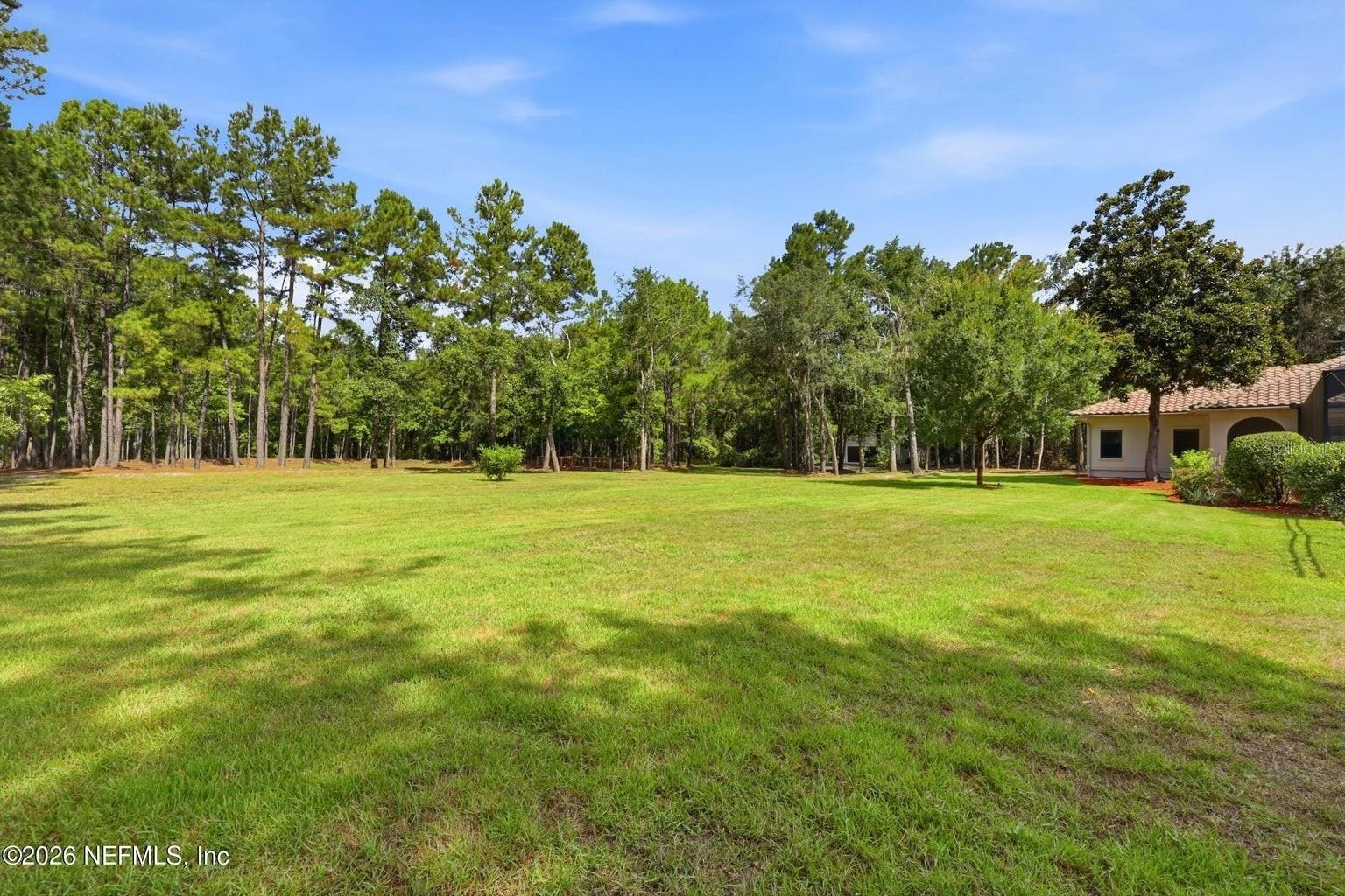 Backyard