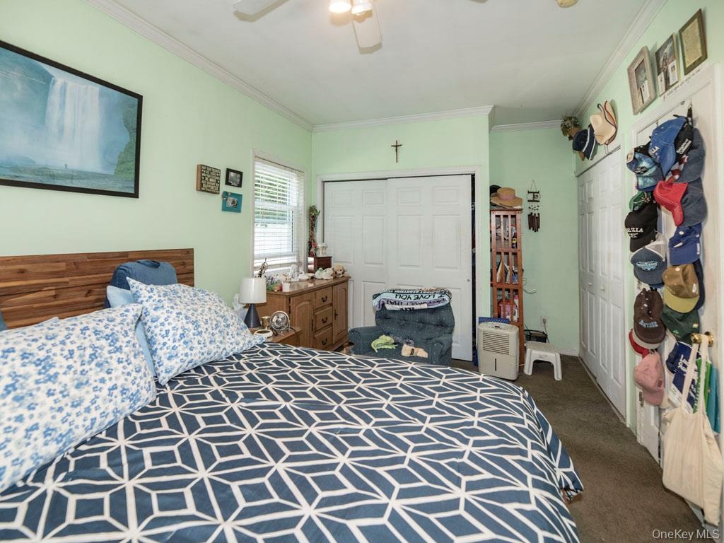 Carpeted bedroom featuring crown molding, a closet, and ceiling fan