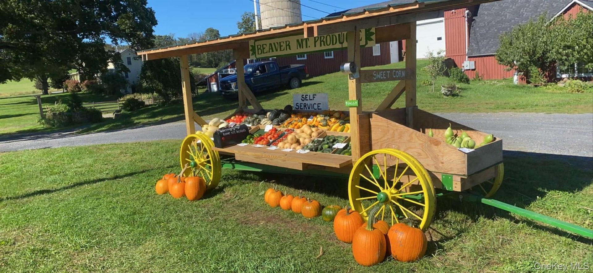 Grow your organic vegetables on your farmland