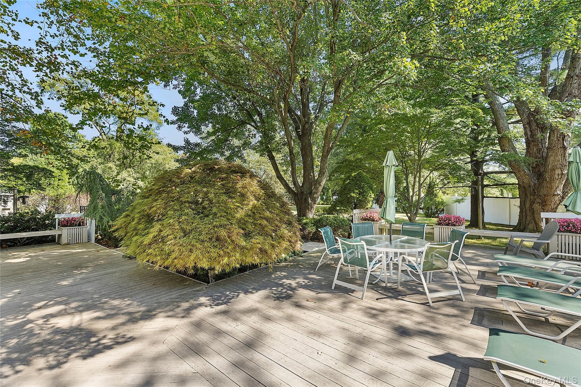 Expansive Deck