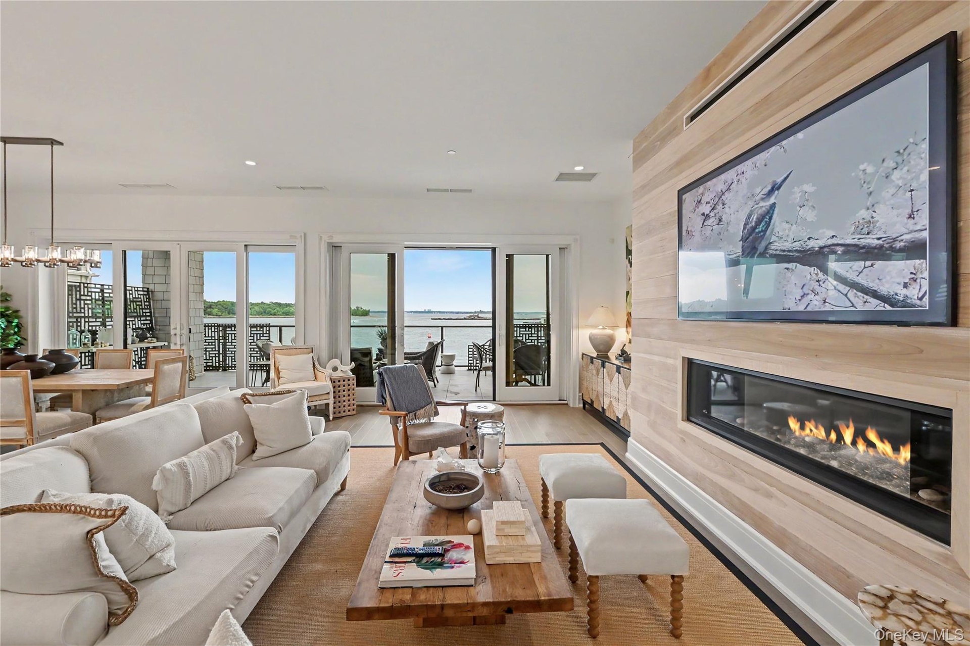 Living area with electric fire place