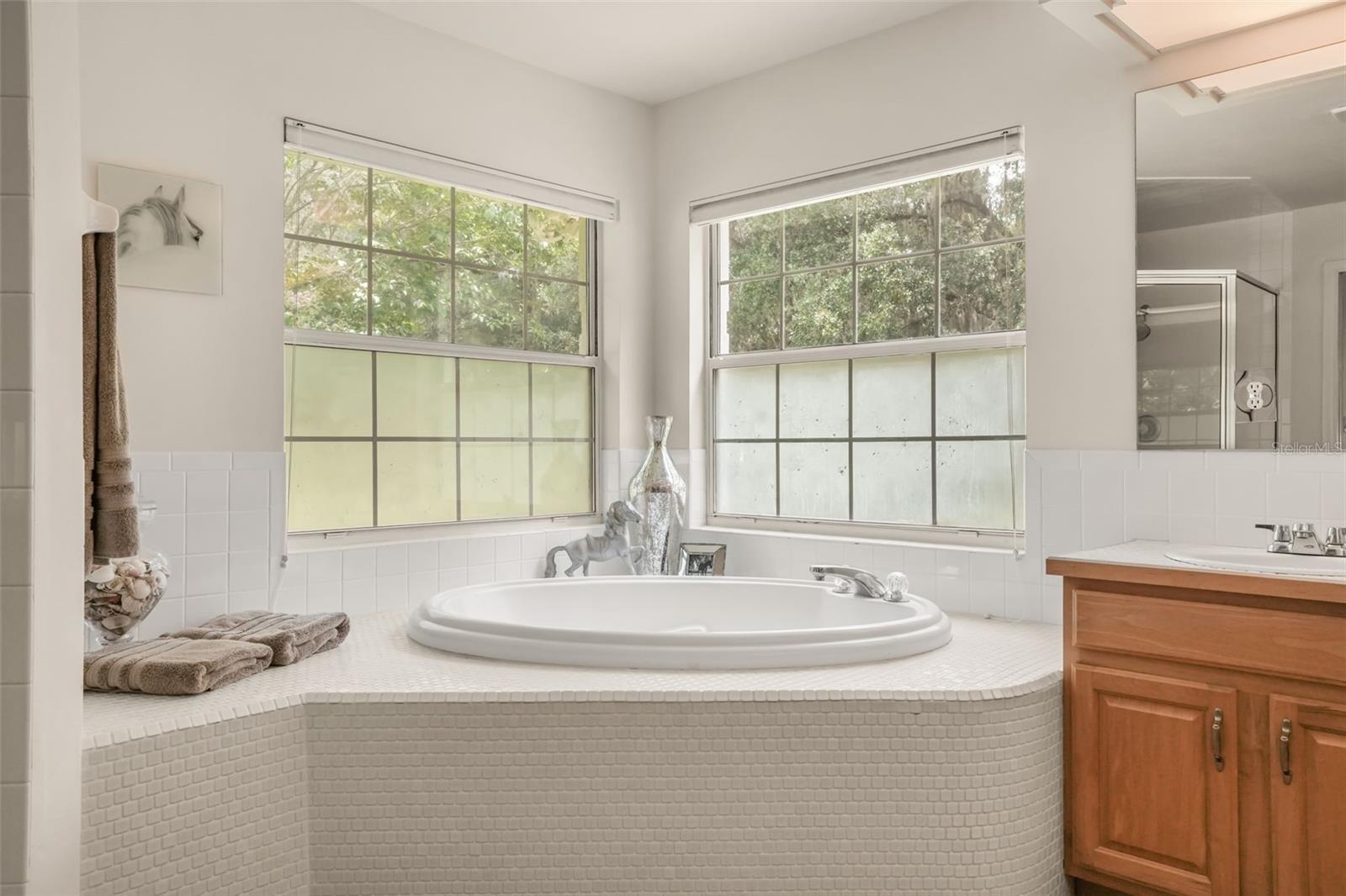 Primary bathroom featuring a soaking tub, oversized windows, and abundant natural light