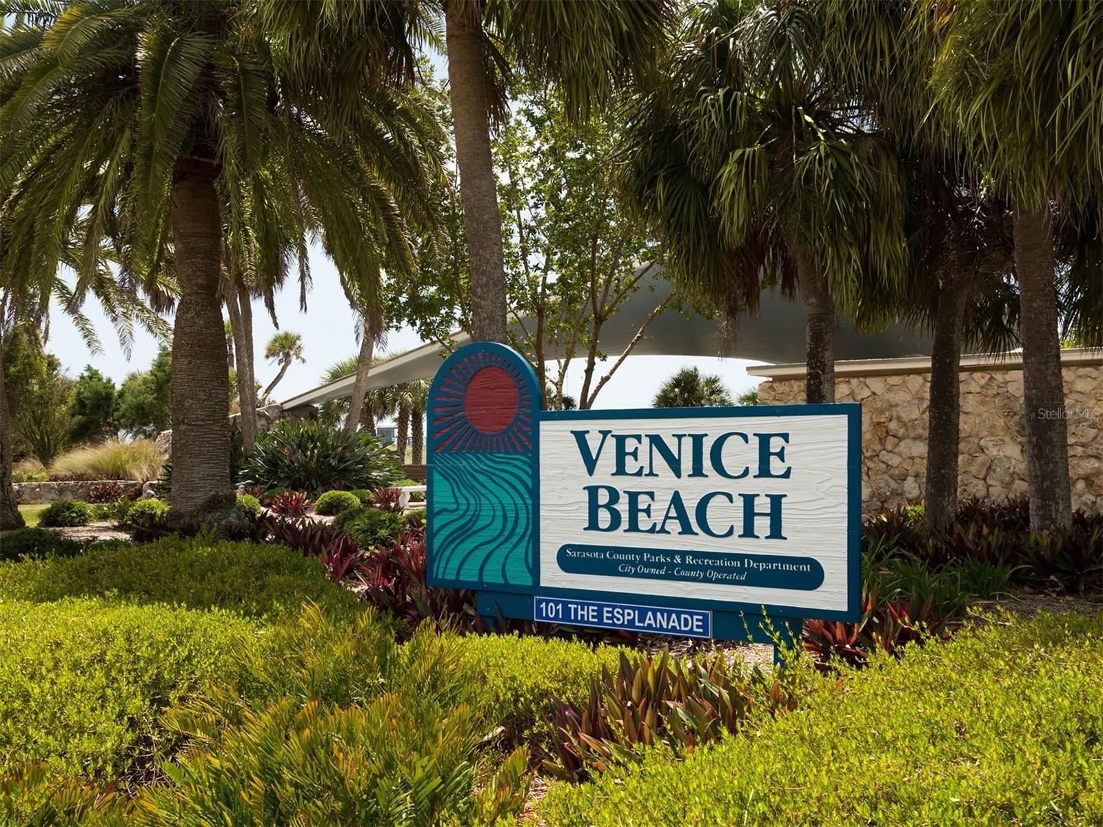 At the end of town you will find Venice Beach!