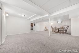 Full Finished Basement