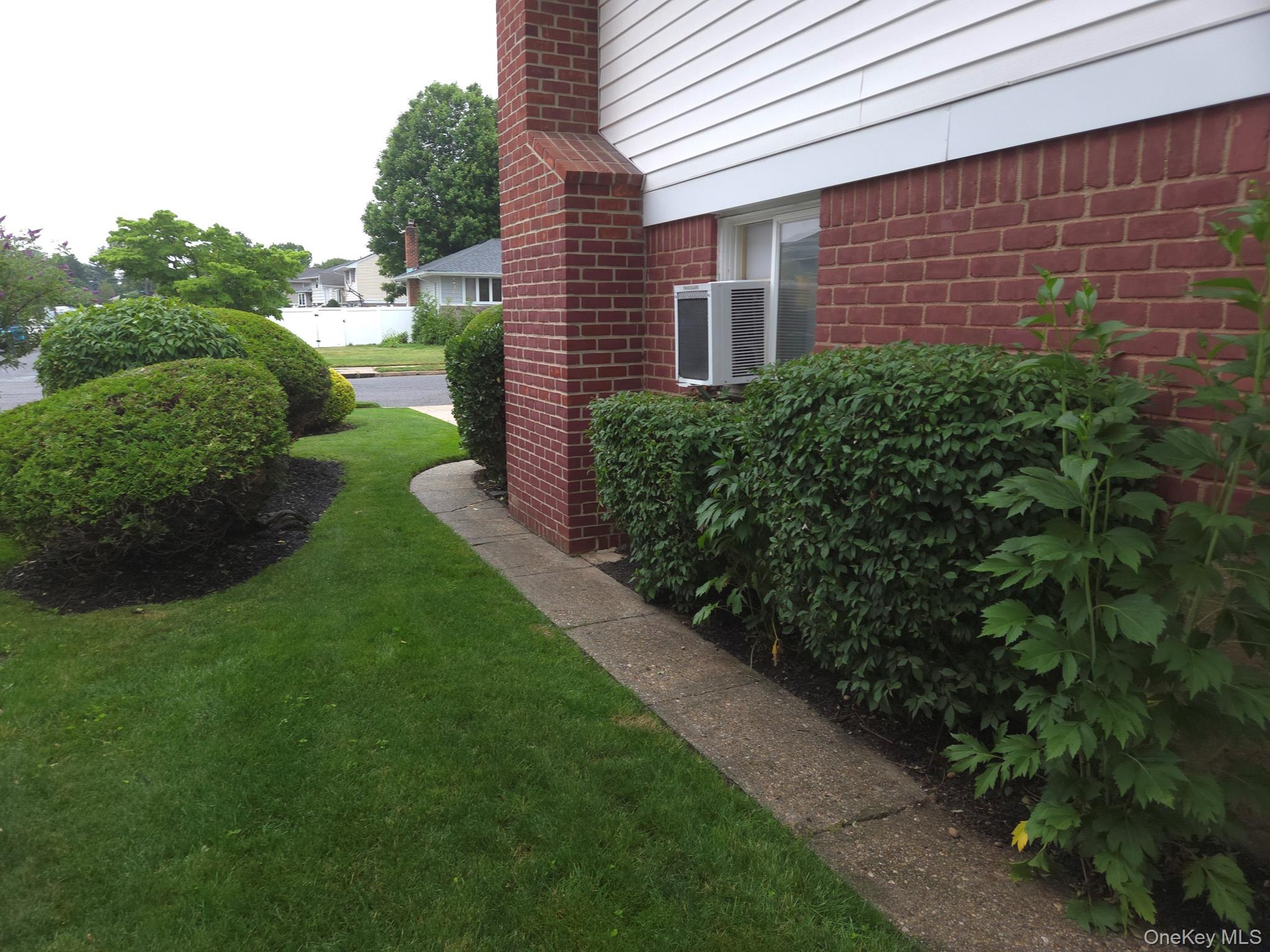 Manicured side with mature shrubs