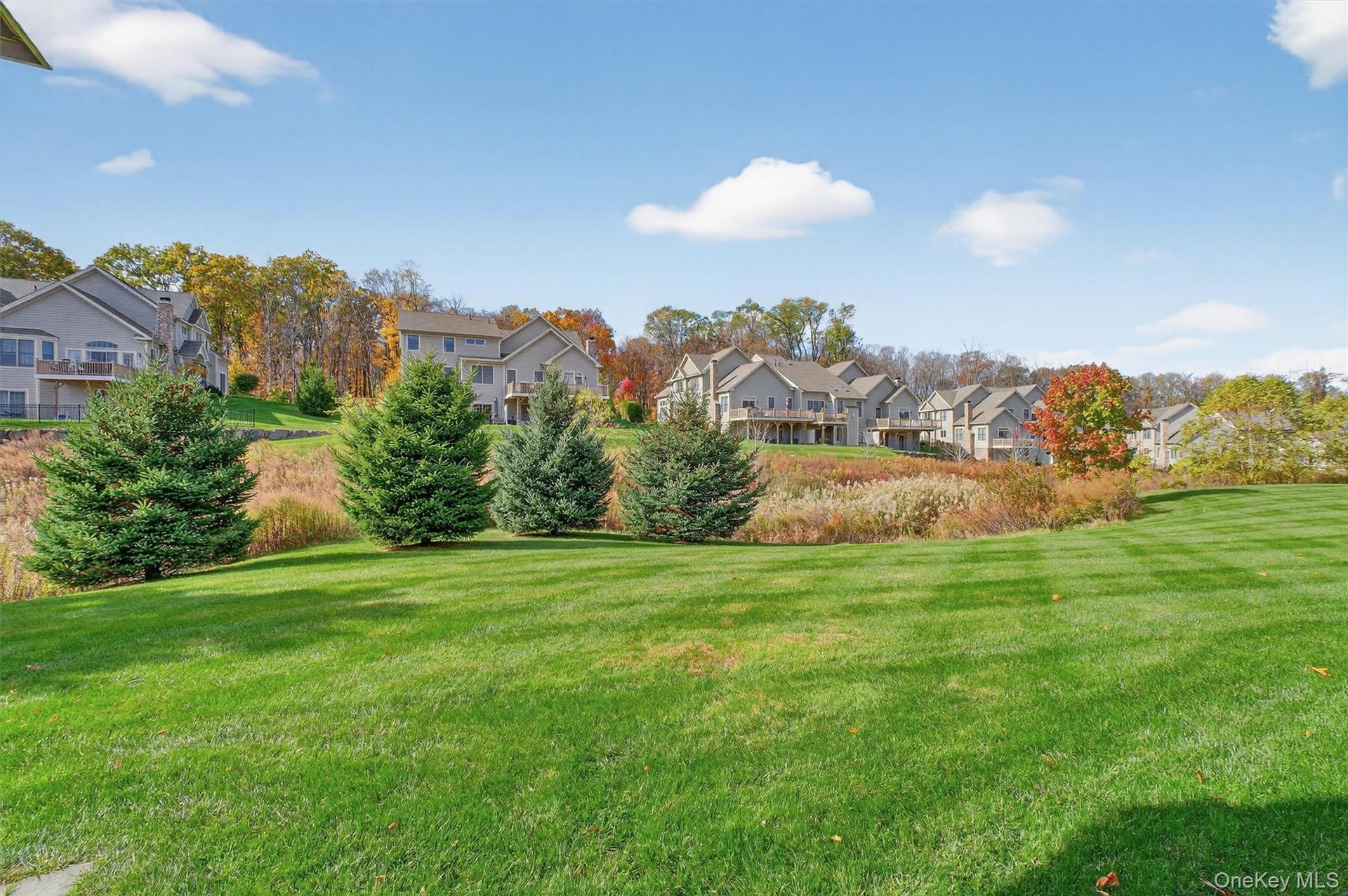 View of grassy yard featuring a residential view