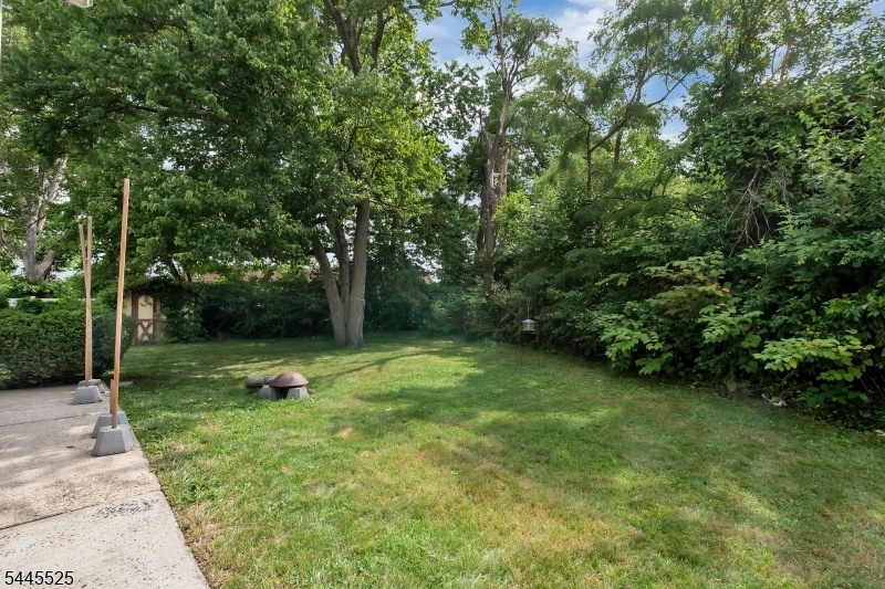 back yard